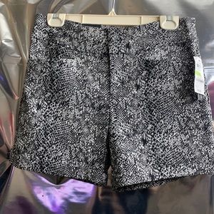 Snake print, brand new with tag sill on. Size 4 regular fit